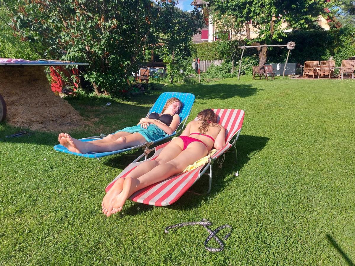Sachserhof Ferienwohnungen In Sachsenburg Eksteriør billede
