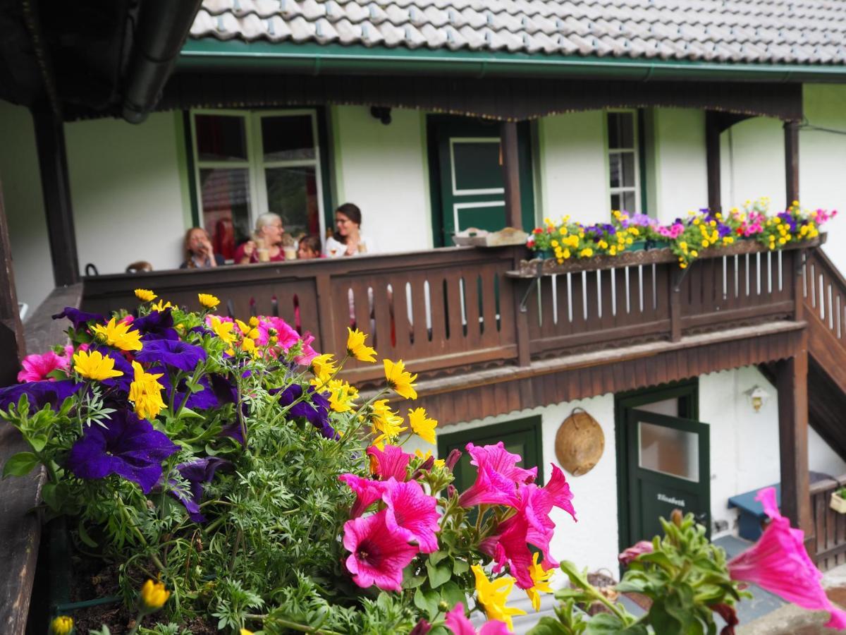 Sachserhof Ferienwohnungen In Sachsenburg Eksteriør billede