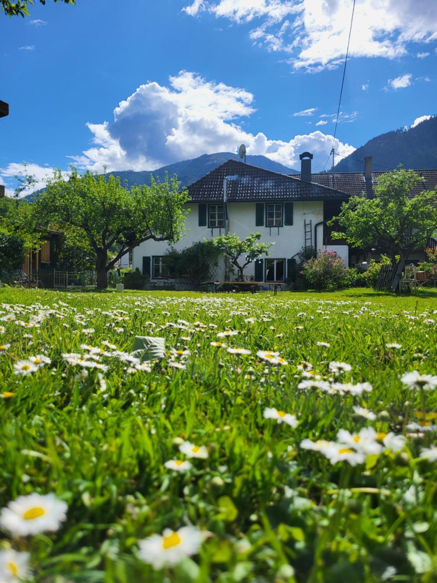 Sachserhof Ferienwohnungen In Sachsenburg Eksteriør billede