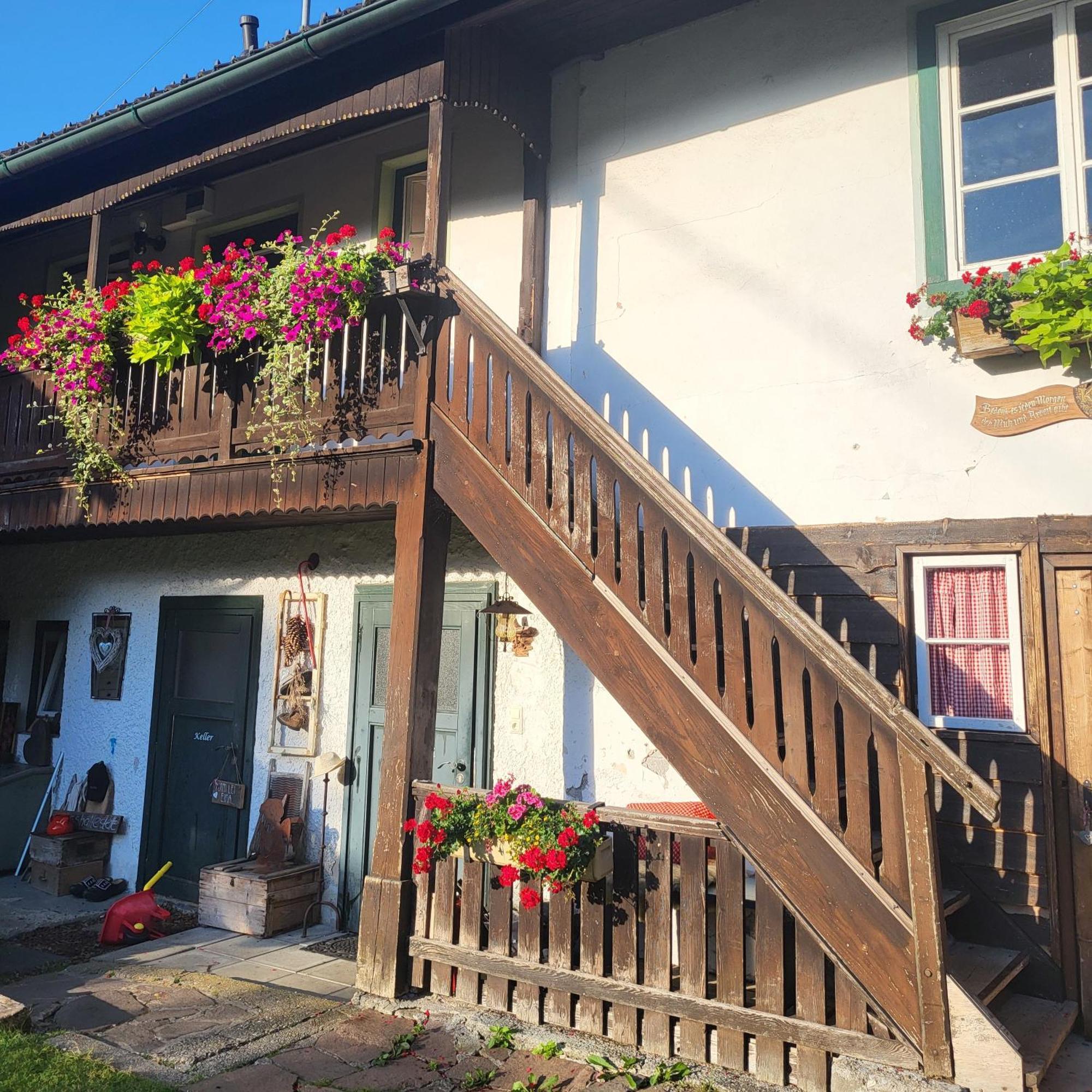 Sachserhof Ferienwohnungen In Sachsenburg Eksteriør billede